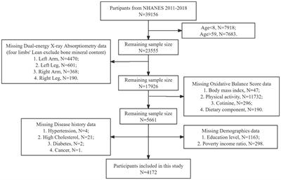 The association between oxidative balance score and muscular dystrophies